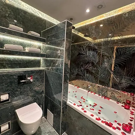 酒店 阿尔卑斯山酒店 2*