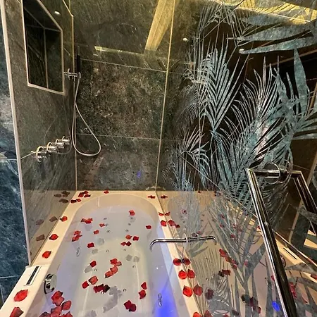 酒店 阿尔卑斯山酒店 阿姆斯特丹