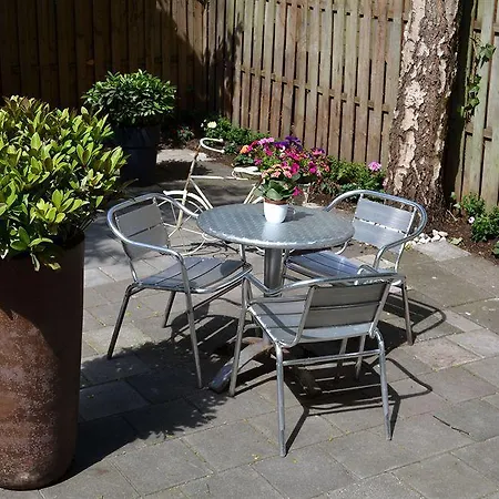 Отель Alp 2*