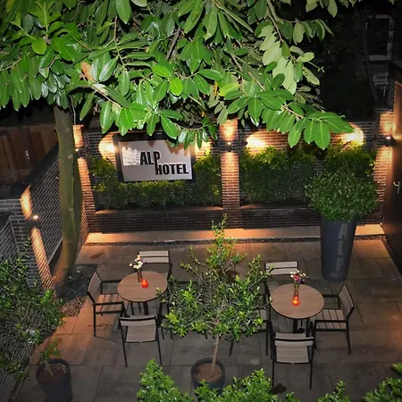 酒店 阿尔卑斯山酒店 2*